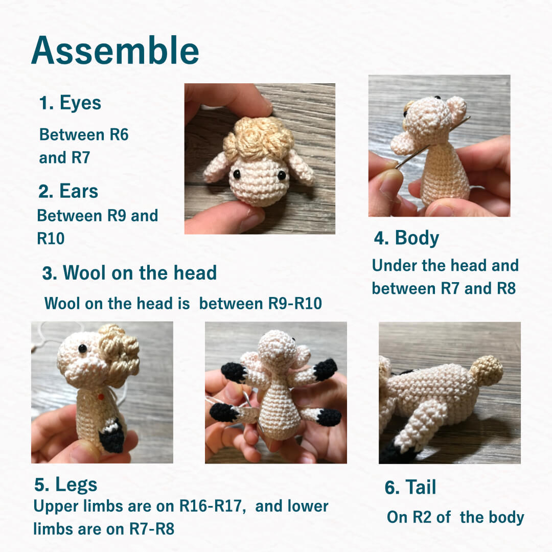Fluffy sheep assemble